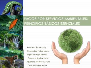 PAGOS POR SERVICIOS AMBIENTALES: PRINCIPIOS BÁSICOS ESENCIALES