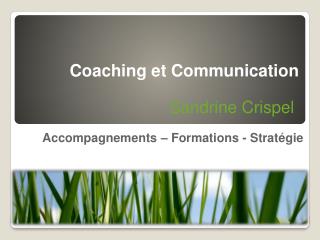 Accompagnements – Formations - Stratégie