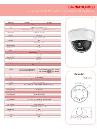 SK-NM10,NM30 Megapixel H.264 IP NETWORK IR Mini Outdoor Dome Camera