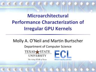 Microarchitectural Performance Characterization of Irregular GPU Kernels