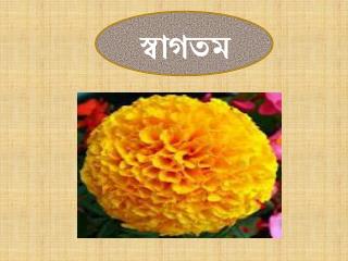 স্বাগতম