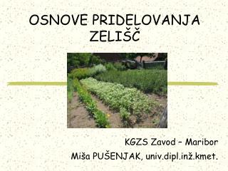 OSNOVE PRIDELOVANJA ZELIŠČ