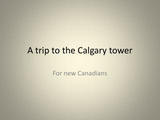 A trip to the Calgary tower