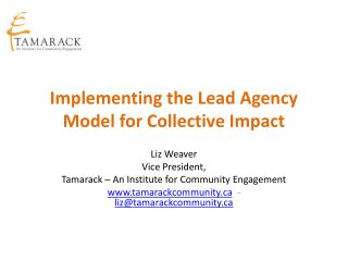 Implementing the Lead Agency Model for Collective Impact