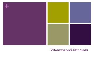 Vitamins and Minerals