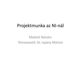Projektmunka az NI-nál