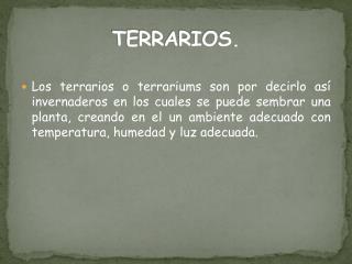 TERRARIOS.