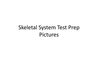 Skeletal System Test Prep Pictures