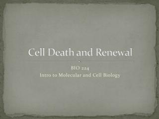 Cell Death and Renewal