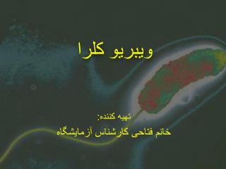 ویبریو کلرا