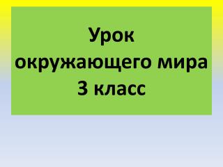 Урок окружающего мира 3 класс