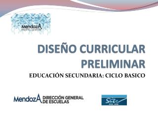DISEÑO CURRICULAR PRELIMINAR
