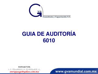 GUIA DE AUDITORÍA 6010