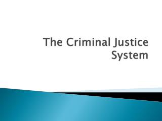 The Criminal Justice System