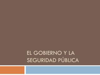 El gobierno y la seguridad pública