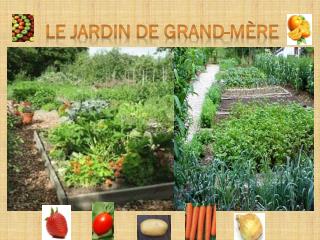 LE JARDIN DE GRAND-MÈRE