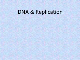 DNA &amp; Replication
