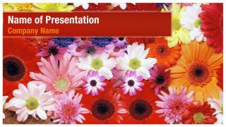 Name of Presentation