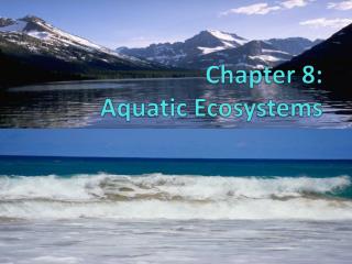 Chapter 8: Aquatic Ecosystems