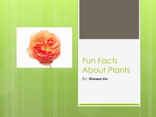 Fun Facts About Plants