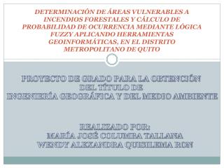 PROYECTO DE GRADO PARA LA OBTENCIÓN DEL TÍTULO DE INGENIERÍA GEOGRÁFICA Y DEL MEDIO AMBIENTE