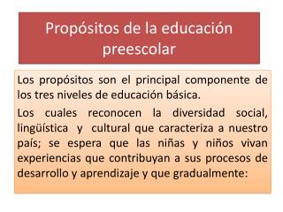 Propósitos de la educación preescolar