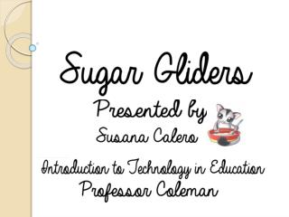 Sugar Gliders have become very popular in the last few decades in North America.