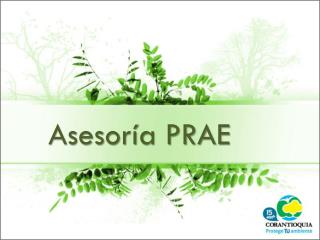 Asesoría PRAE