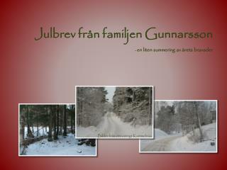 Julbrev från familjen Gunnarsson - en liten summering av årets bravader