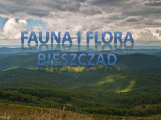 Fauna I Flora Bieszczad