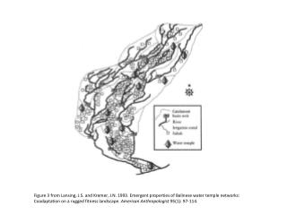 14-rice-supplemental