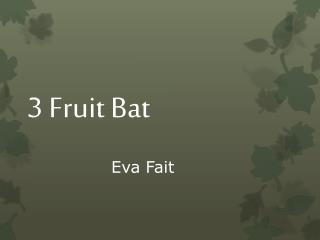 3 Fruit Bat