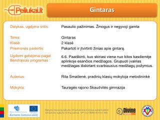 Dalykas, ugdymo sritis: Tema: Klasė: Priemonės paskirtis: