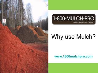 Why Use Mulch