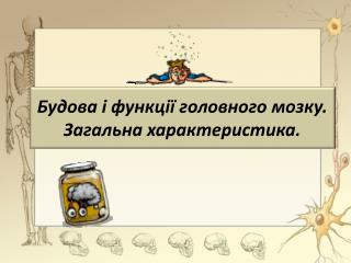 Будова і функції головного мозку. Загальна характеристика.