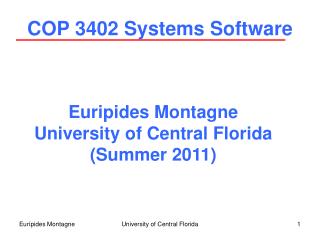 COP 3402 Systems Software