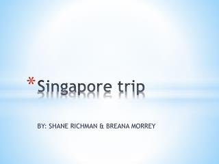 Singapore trip