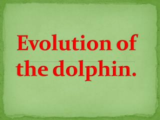 Evolution  of the dolphin .