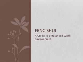 Feng Shui