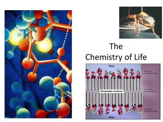 The Chemistry of Life