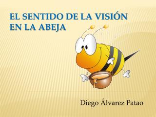 EL SENTIDO DE LA VISIÓN EN LA ABEJA