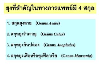 1. สกุลยุงลาย ( Genus Aedes ) 2. สกุลยุงรำคาญ ( Genus Culex )