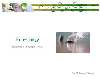 Eco- Lodgy Sustainable Boutique Hotel