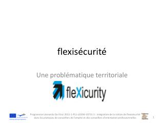 flexisécurité