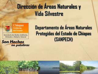 Dirección de Áreas Naturales y Vida Silvestre