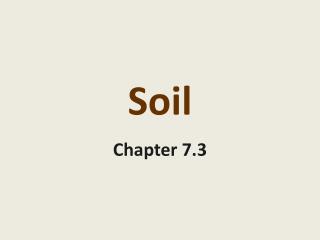 Soil