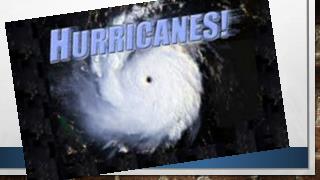 Hurricane Wilma