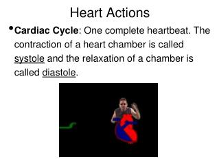 Heart Actions