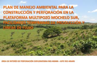 ÁREA DE INTERÉS DE PERFORACIÓN EXPLORATORIA RIO ARIARI – AIPE RIO ARIARI