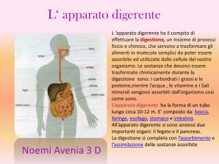 L‘ apparato digerente